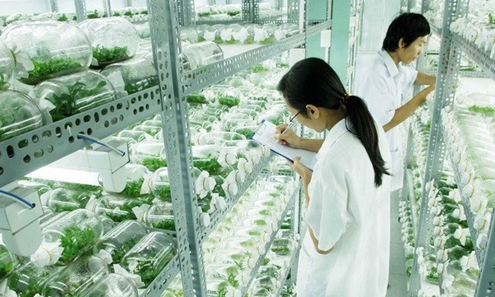 Vietnam partners with Israel for hi-tech agricultural innovation